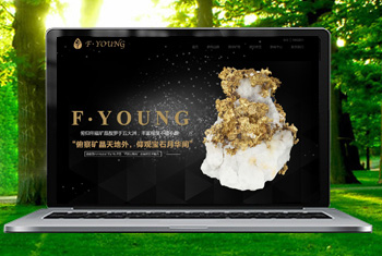 �㶫�������ﱦʯ